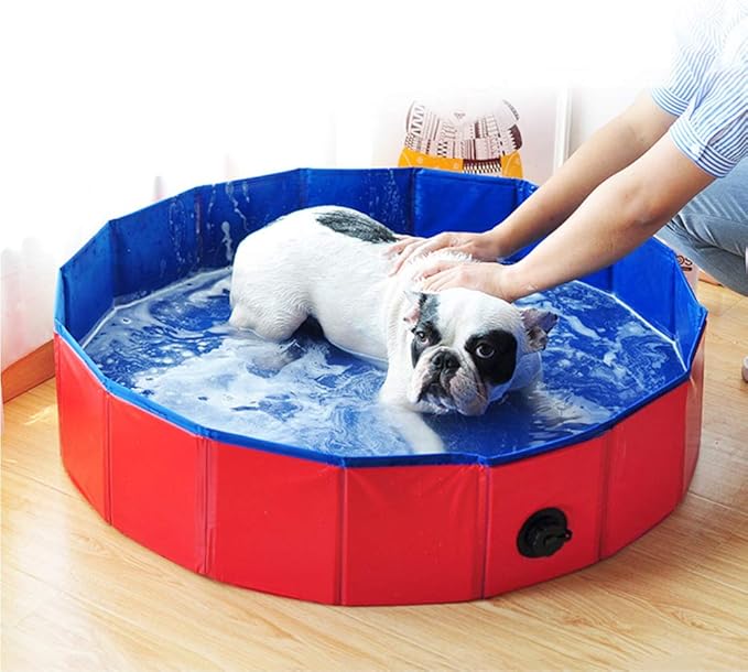 Foldable Dog Pool